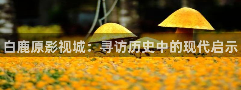 97视频人人干：白鹿原影视城：寻访历史中的现代启示