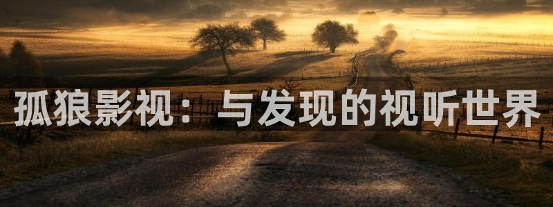 97不卡电影：孤狼影视：与发现的视听世界