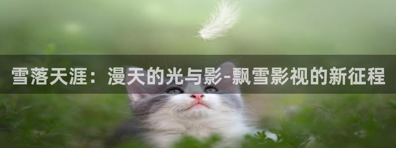 97神马影院伦理片：雪落天涯：漫天的光与影-飘雪影视的新征程