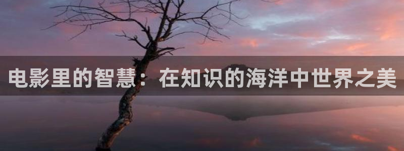 97韩剧理论影院：电影里的智慧：在知识的海洋中世界之美