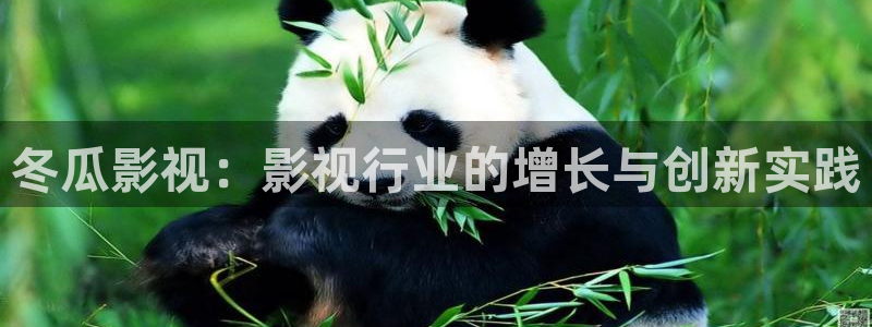 97影院伦理片：冬瓜影视：影视行业的增长与创新实践